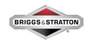 B&S Motor 3130 OHV/AVS elstart i gruppen  hos Motorsågsbutiken (21R807-0062)