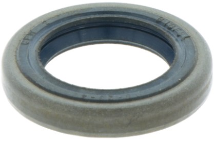 Tätring i gruppen hos Motorsågsbutiken (5032605-01)