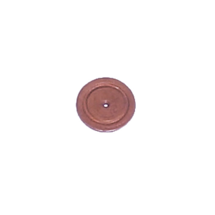 Nozzle Plate i gruppen hos Motorsågsbutiken (5203267-01)
