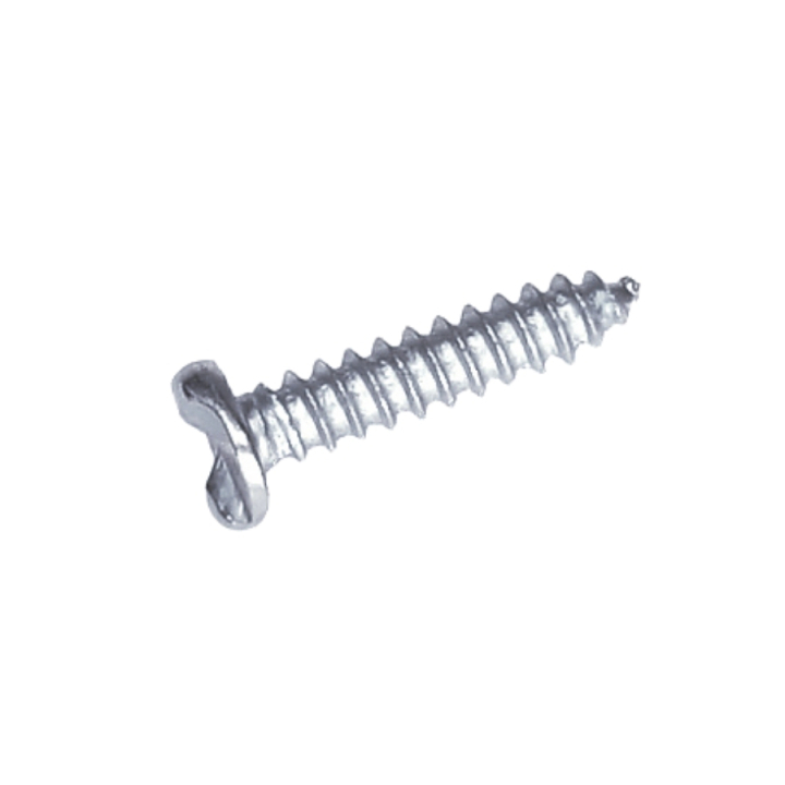 Screw One-Way B4,2X19 i gruppen hos Motorsågsbutiken (5203400-01)