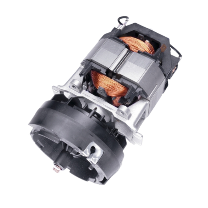 Electric Motor Cpl, i gruppen  hos Motorsågsbutiken (5204379-01)