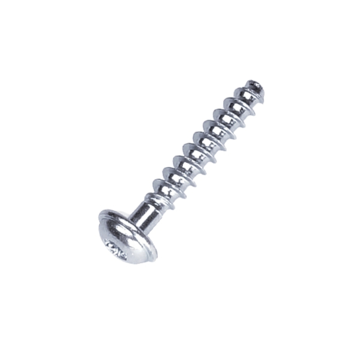 Screw T50X28 i gruppen hos Motorsågsbutiken (5205247-01)