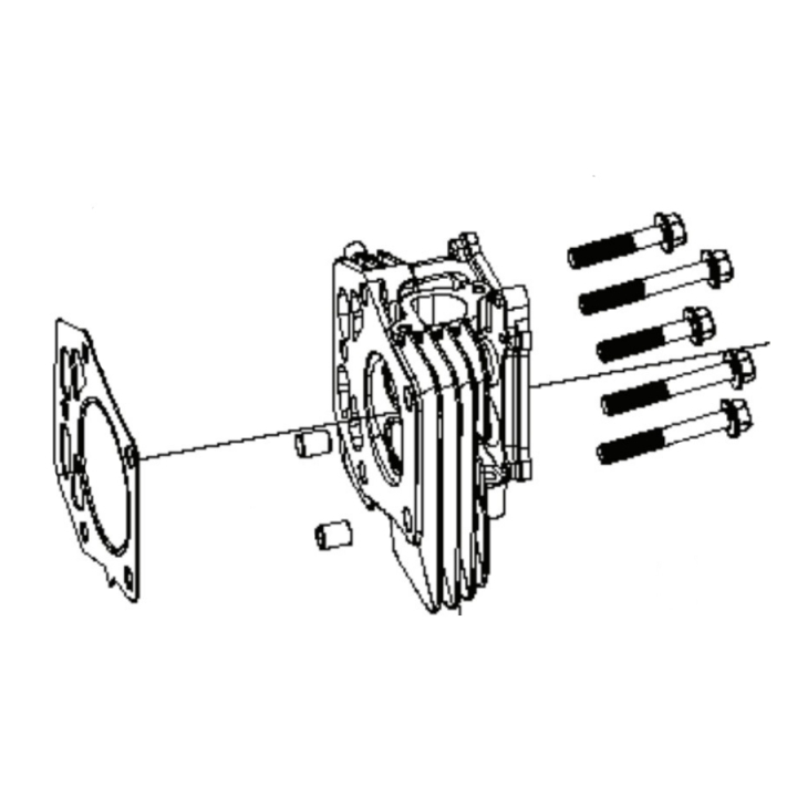 Cylinder Head Kit i gruppen  hos Motorsågsbutiken (5311469-92)