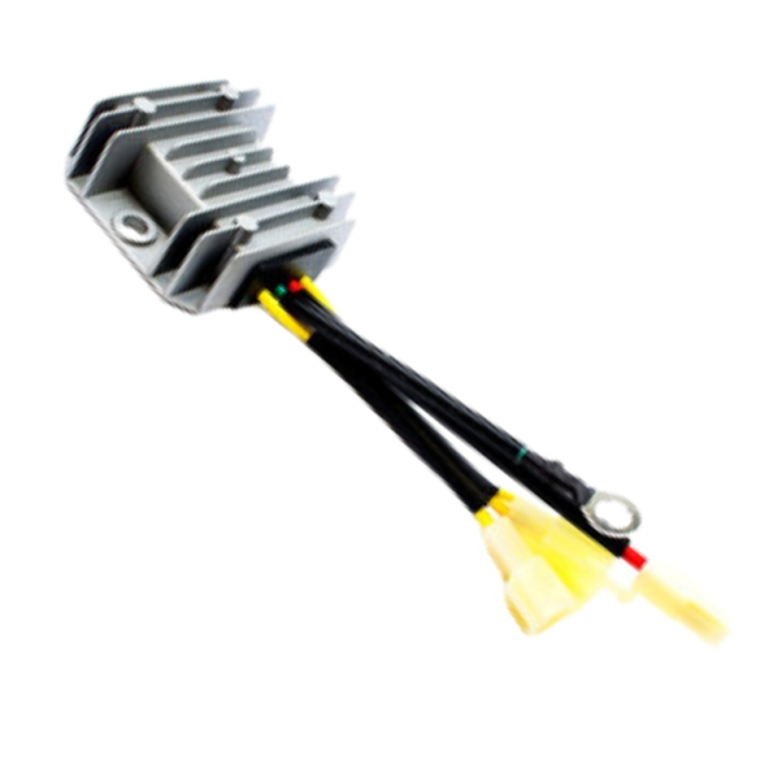 Variator i gruppen  hos Motorsågsbutiken (5311471-24)