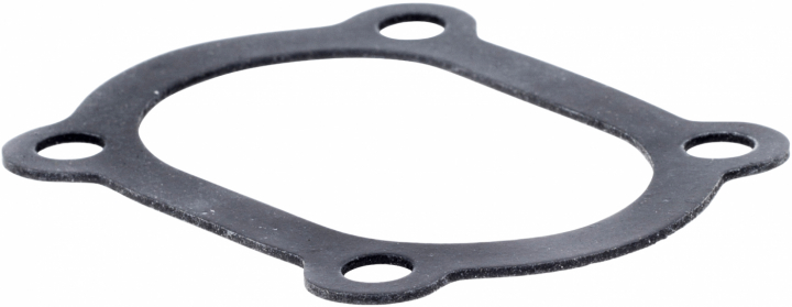 PACKNING i gruppen  hos Motorsågsbutiken (5351392-04)