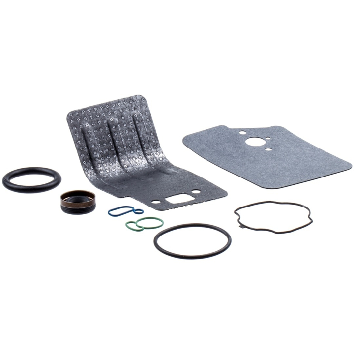 Kit Gasket 25Cc i gruppen Övriga Reservdelar / Reservdelar Partner Lövblåsare / Reservdelar Partner GBV345 hos Motorsågsbutiken (5450818-32)