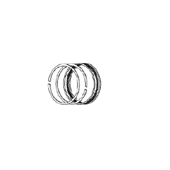 Piston Ring Set i gruppen Övriga Reservdelar / Reservdelar Husqvarna Jordfräsar / Reservdelar Husqvarna TF120 hos Motorsågsbutiken (5461906-01)