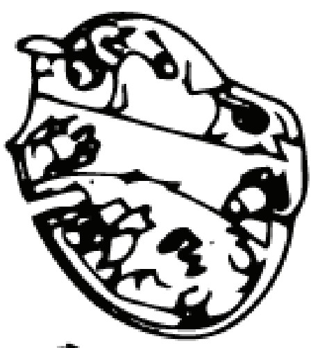 Switchbox Lower (Euro i gruppen  hos Motorsågsbutiken (5746268-01)