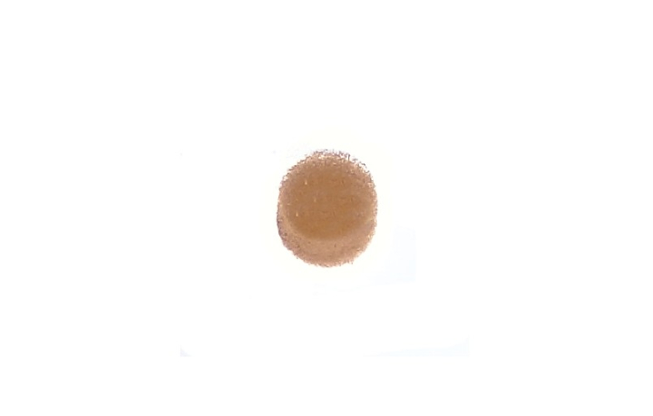 Tank Air Filter i gruppen  hos Motorsågsbutiken (5758355-01)