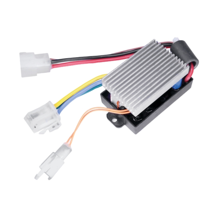 Electronic i gruppen hos Motorsågsbutiken (5822596-01)