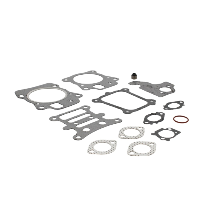 Gasket Kit B&S 592174 i gruppen  hos Motorsågsbutiken (5822886-40)