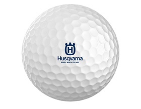 Golfbollar Titleist NXT Tour i gruppen Kläder & Skyddsutrustning / Arbetskläder/Accessoarer hos Motorsågsbutiken (5823925-01)