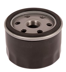 Oil Filter B&S 696854 i gruppen  hos Motorsågsbutiken (5857304-01)