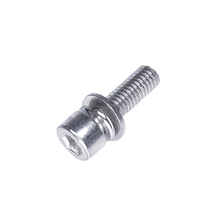 Skruv M5X12 i gruppen hos Motorsågsbutiken (5866409-01)