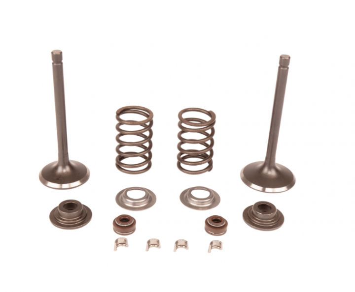 Service Kit Kit,Valve i gruppen  hos Motorsågsbutiken (5909717-01)