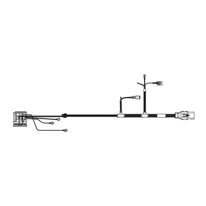 Wiring Assy Engine & Sensors P i gruppen  hos Motorsågsbutiken (5977567-02)