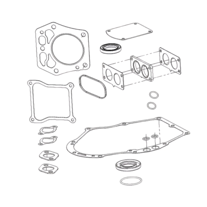 Gasket Kit i gruppen hos Motorsågsbutiken (5985994-01)