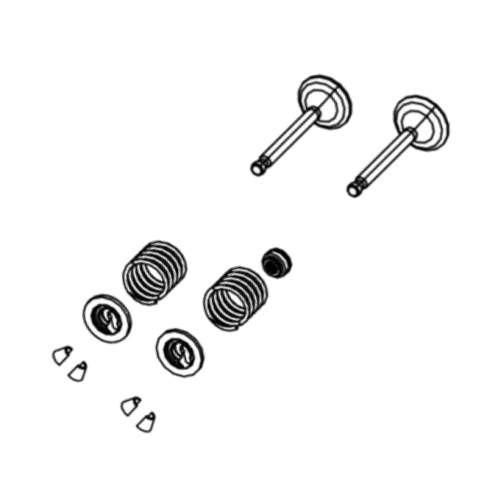 Valve kit i gruppen  hos Motorsågsbutiken (5993489-84)