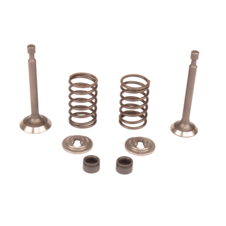 VALVE KIT i gruppen  hos Motorsågsbutiken (5993490-42)