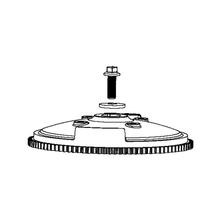 FLYWHEEL i gruppen  hos Motorsågsbutiken (5993491-52)