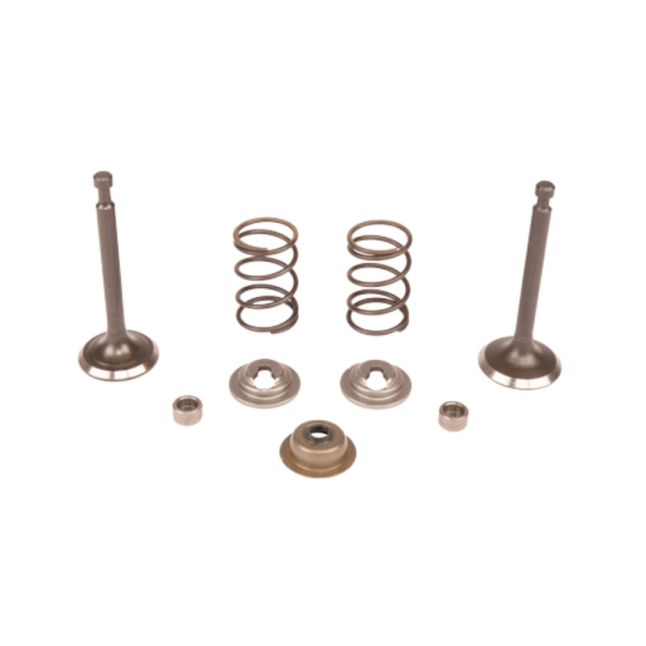 Valve kit i gruppen  hos Motorsågsbutiken (5993492-45)