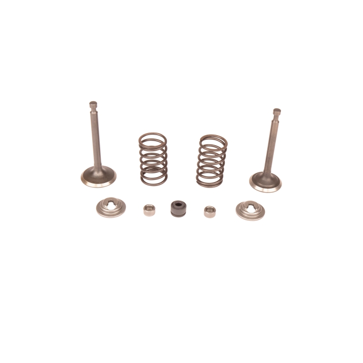 Valve kit rocker arm i gruppen hos Motorsågsbutiken (5993492-49)