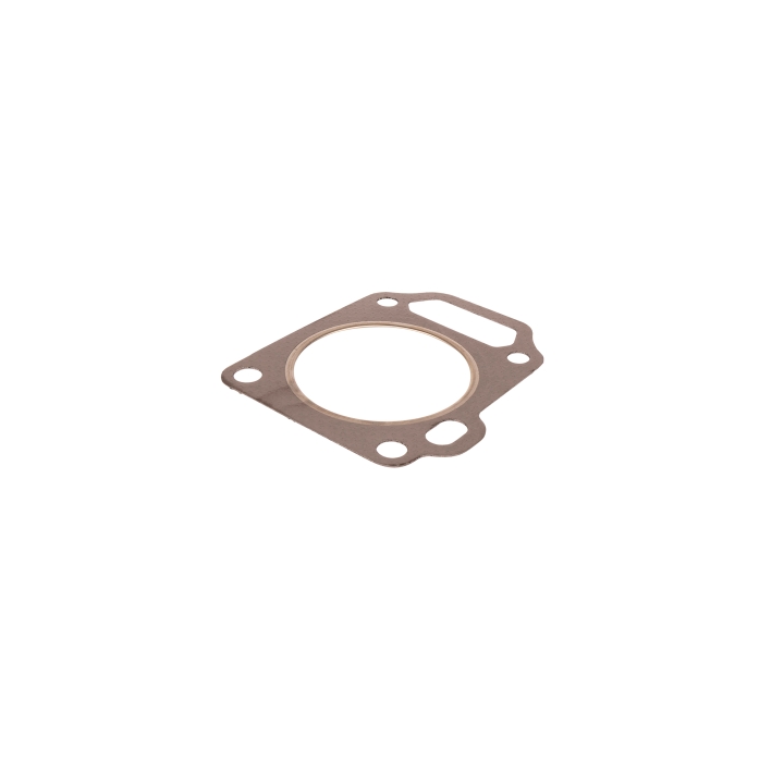 Cylinder head kit i gruppen  hos Motorsågsbutiken (5993493-05)