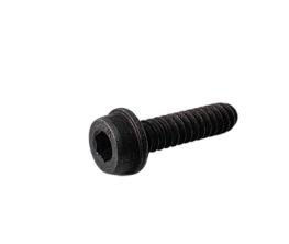 Screw 5032168-72