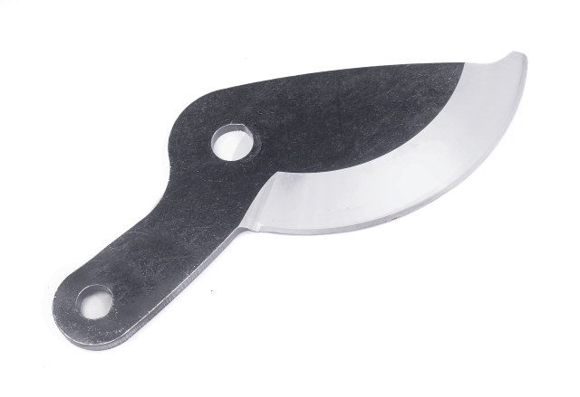 Top Blade