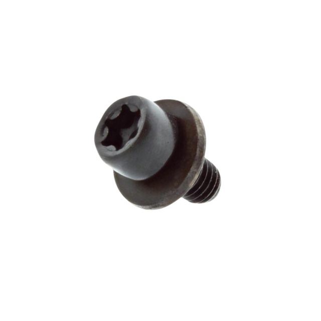 INTERNAL TORX SOCKET HEAD CAP,