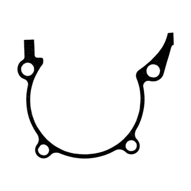 GASKET CRANKCASE