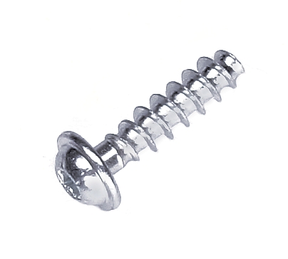 Screw
