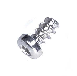 Screw