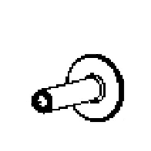 Arm