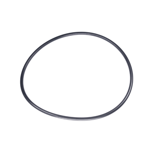 O-Ring 160X5,5