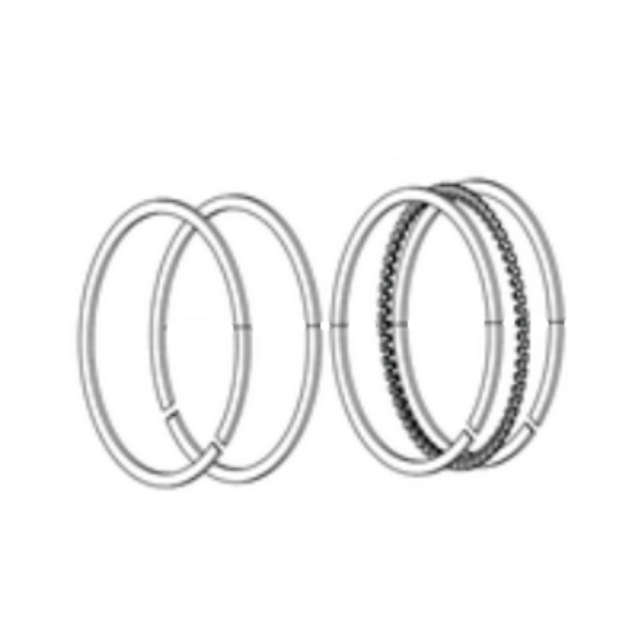 Piston ring