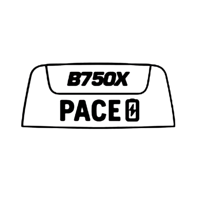 Logotype pace label B750X
