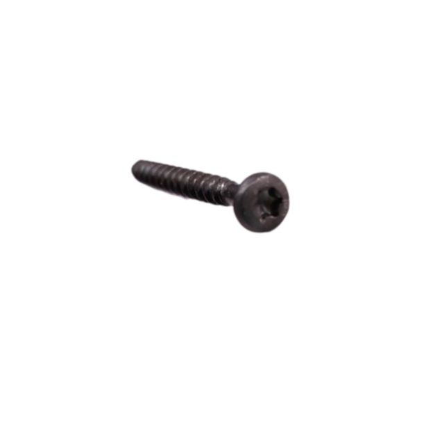 SCREW ISO 14579 T10X20 10,9 ZP
