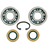 Kit Lager Och Packning 5018562-01 Kit Lager Och Packning 5018562-01