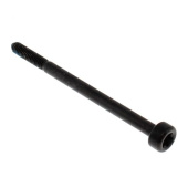 Screw Screw