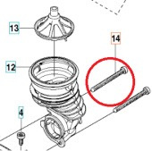 Screw Screw