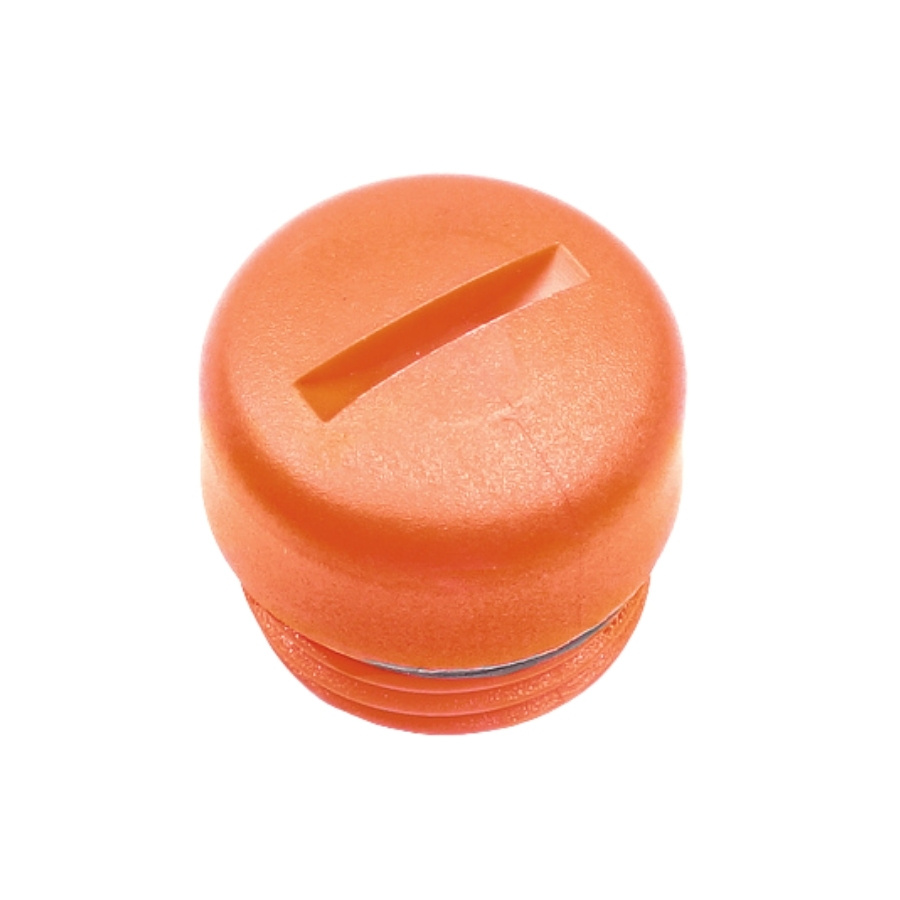 Locking Screw Cpl
