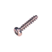 Pt-Screw 40X18 T20 Pt-Screw 40X18 T20
