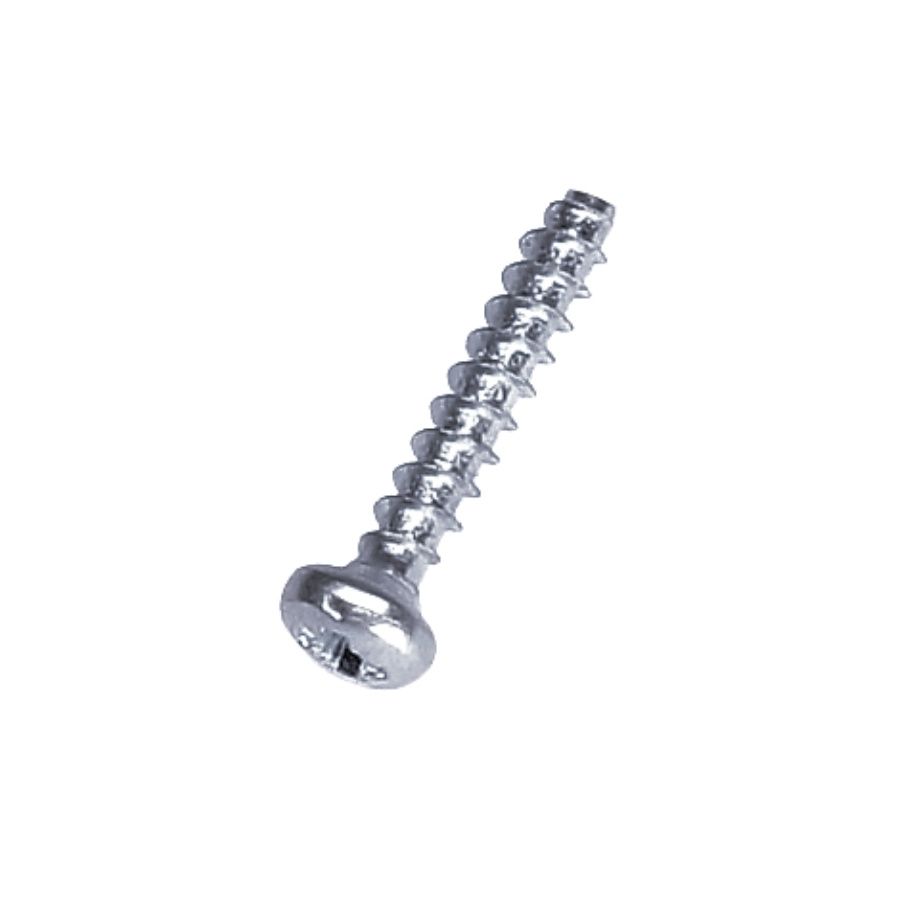 Cylinder Head Screw 3,5X20