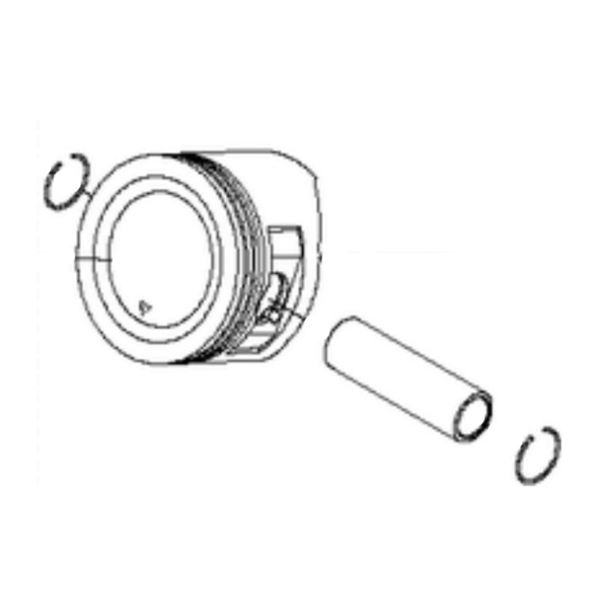 Piston assy