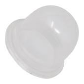 Purgeblåsa Purgeblåsa