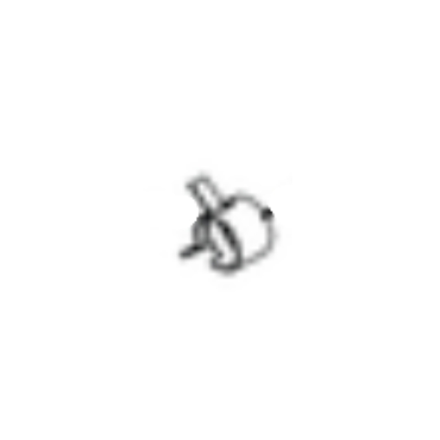 Clip hose