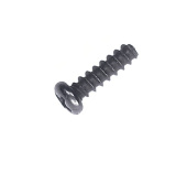 Screw Screw
