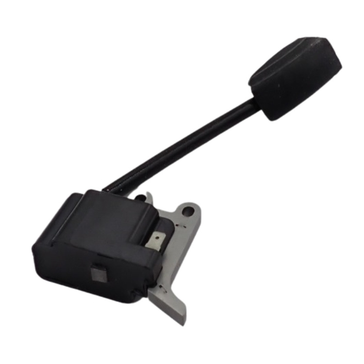 Ignition Module Assy