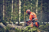 Sågkedja C35 .325 Sågkedja C35 .325
